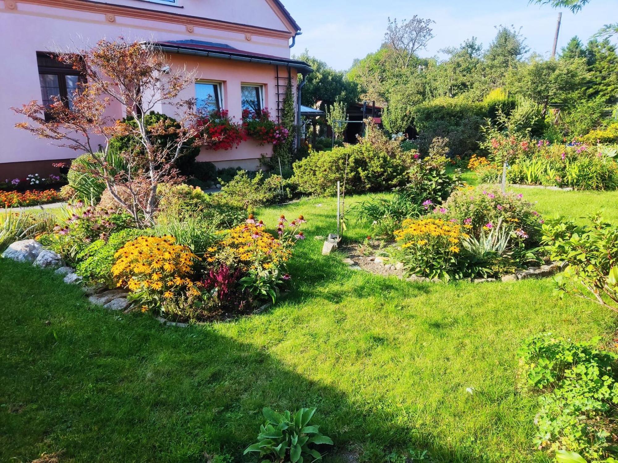 Apartment In Blossom Garden Nove Mesto pod Smrkem Exterior foto